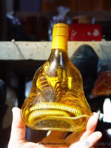 Долина тысячи лингамов и озеро Тонле Сап (Камбоджа).