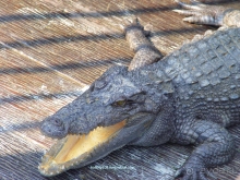 Долина тысячи лингамов и озеро Тонле Сап (Камбоджа).