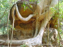 Долина тысячи лингамов и озеро Тонле Сап (Камбоджа).