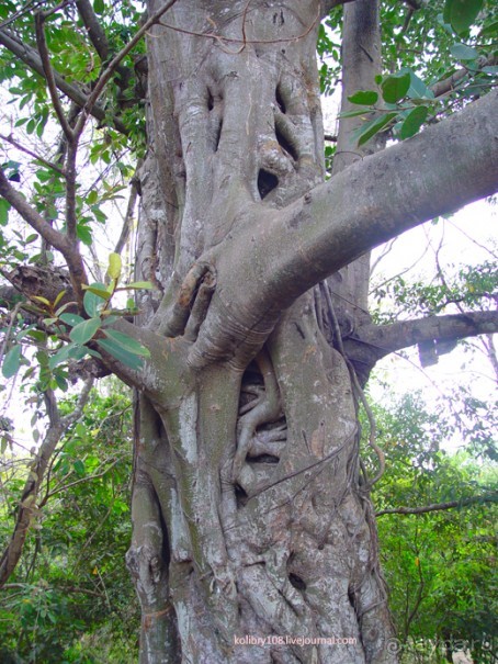 Долина тысячи лингамов и озеро Тонле Сап (Камбоджа).