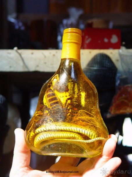 Долина тысячи лингамов и озеро Тонле Сап (Камбоджа).