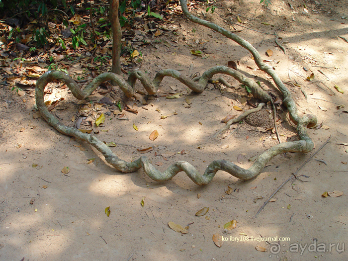 Долина тысячи лингамов и озеро Тонле Сап (Камбоджа).