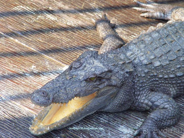 Долина тысячи лингамов и озеро Тонле Сап (Камбоджа).