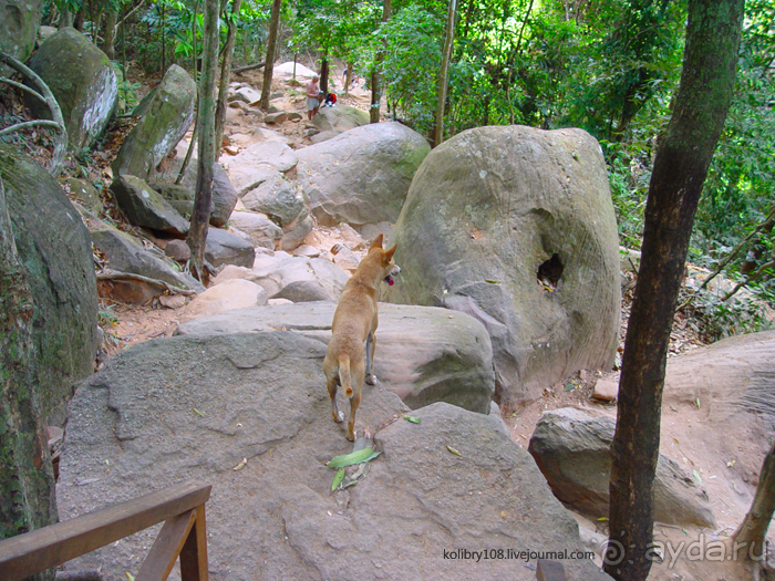 Долина тысячи лингамов и озеро Тонле Сап (Камбоджа).
