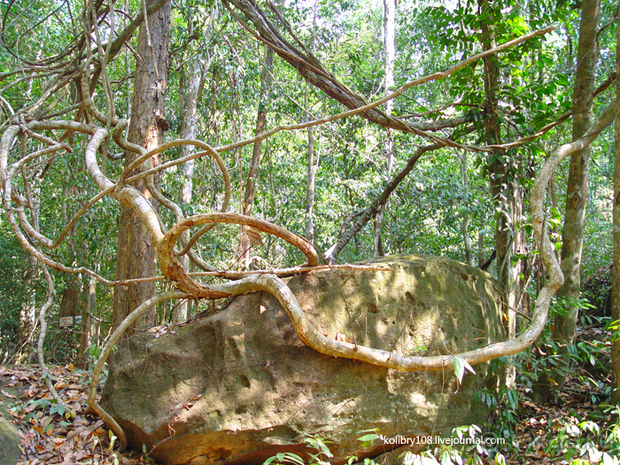 Долина тысячи лингамов и озеро Тонле Сап (Камбоджа).