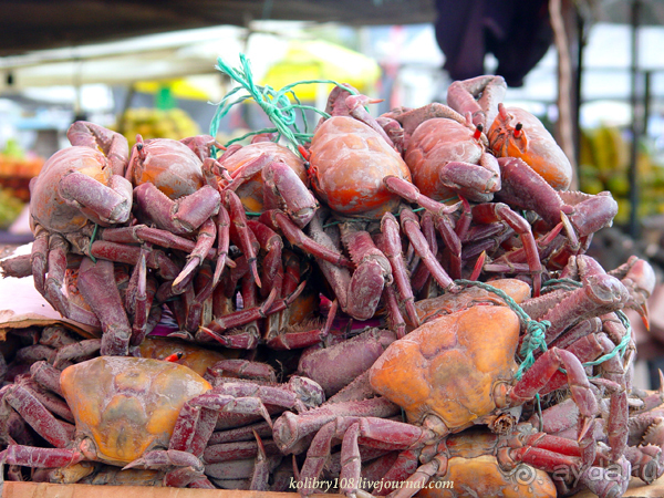 Эквадор (4-я часть)