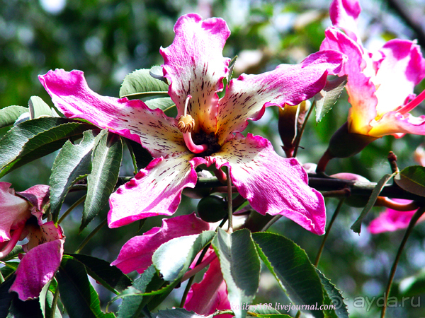 Эквадор (4-я часть)