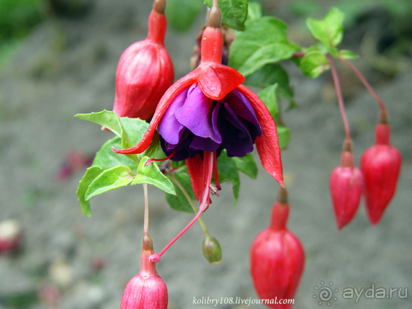 Эквадор (4-я часть)