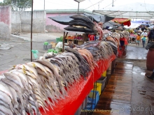 Эквадор (4-я часть)