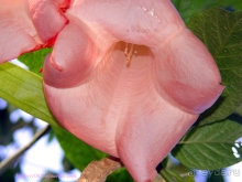 Эквадор (4-я часть)