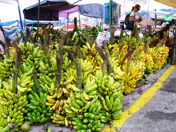 Эквадор (4-я часть)