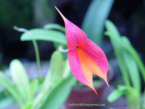 Эквадор (4-я часть)