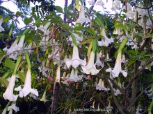 Эквадор (4-я часть)