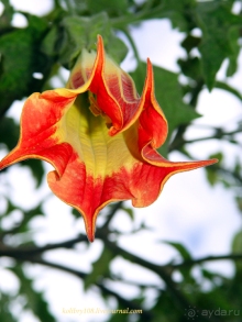 Эквадор (4-я часть)