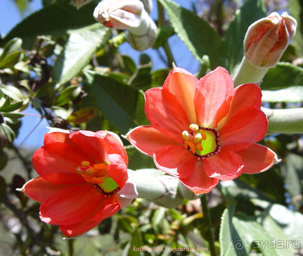 Эквадор (4-я часть)