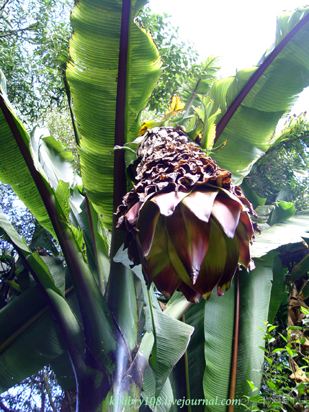 Эквадор (4-я часть)