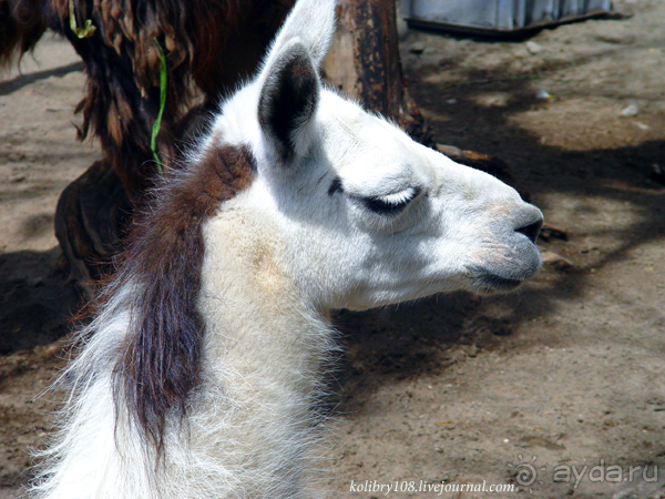 Эквадор (4-я часть)