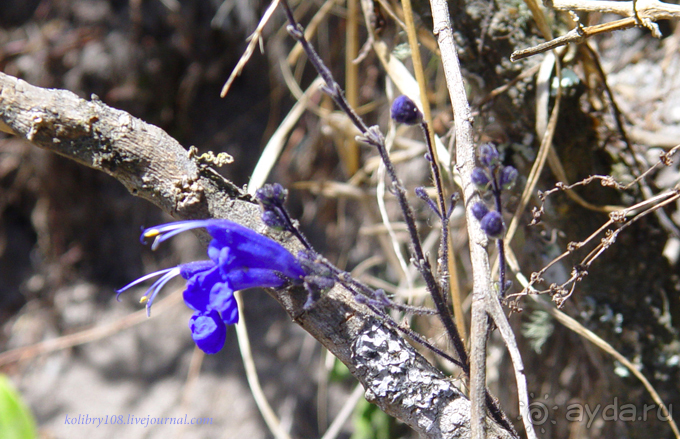 Эквадор (4-я часть)