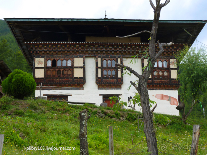 Бутан - страна глазастых фаллосов (часть первая).