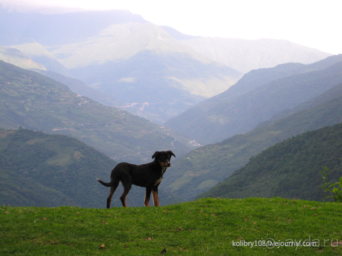 Бутан - страна глазастых фаллосов (часть первая).