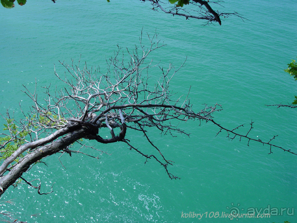 Скала Киселева (г.Туапсе)