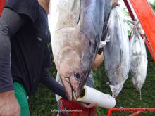 Альбом отзыва "ТАИТИ - МАЛЕНЬКИЙ ПРАЗДНИК."