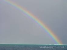 Альбом отзыва "ТАИТИ - МАЛЕНЬКИЙ ПРАЗДНИК."