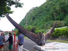 ТАИТИ - МАЛЕНЬКИЙ ПРАЗДНИК.