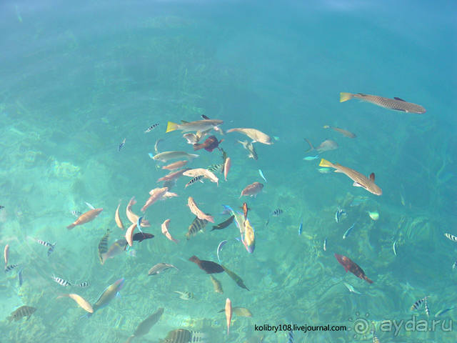 ТАИТИ - МАЛЕНЬКИЙ ПРАЗДНИК.