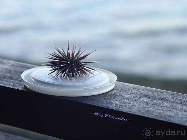 ТАИТИ - МАЛЕНЬКИЙ ПРАЗДНИК.