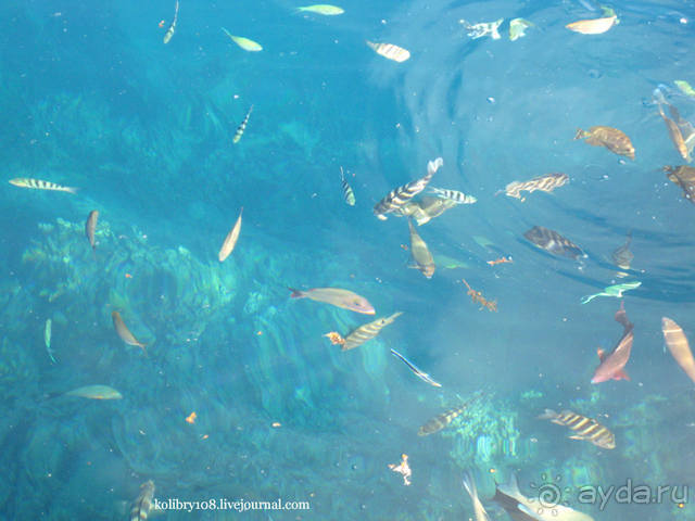 ТАИТИ - МАЛЕНЬКИЙ ПРАЗДНИК.