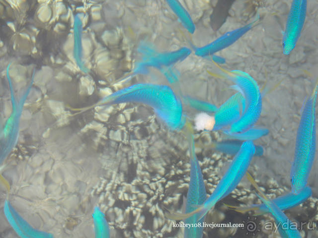 ТАИТИ - МАЛЕНЬКИЙ ПРАЗДНИК.