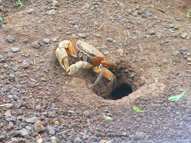 ТАИТИ - МАЛЕНЬКИЙ ПРАЗДНИК.