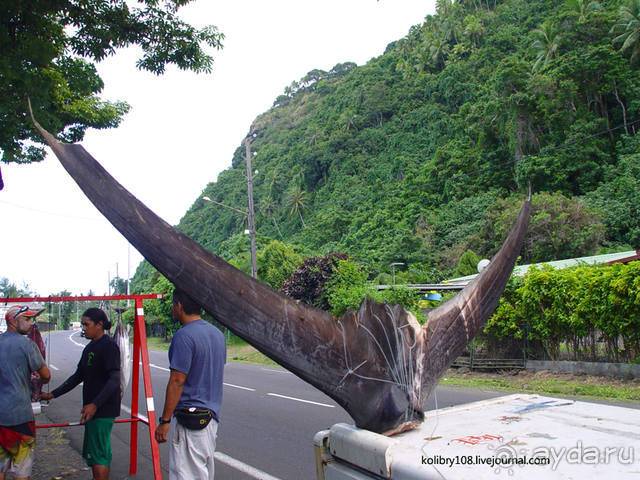 ТАИТИ - МАЛЕНЬКИЙ ПРАЗДНИК.
