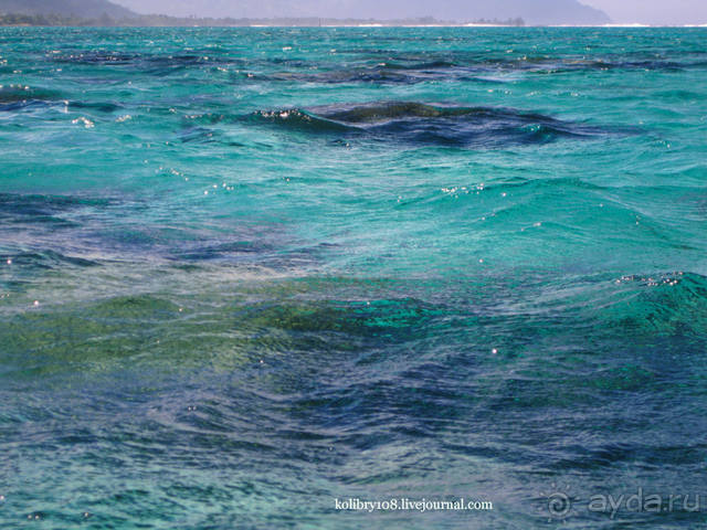 ТАИТИ - МАЛЕНЬКИЙ ПРАЗДНИК.