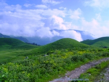 Арабика (Абхазия) - окончание.