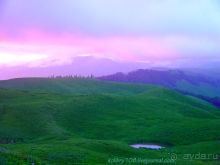 Арабика (Абхазия) - окончание.