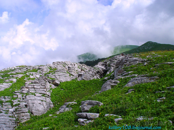 Арабика (Абхазия) - окончание.