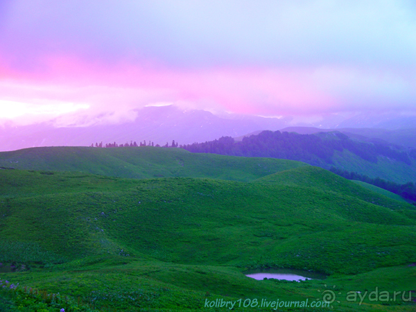 Арабика (Абхазия) - окончание.