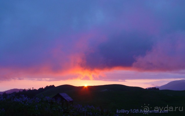 Арабика (Абхазия) - окончание.