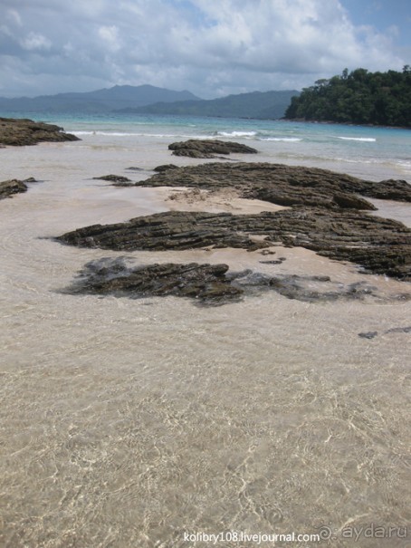 Зиплайн ("птички на проводах") и мангры-тур на Филиппинах.