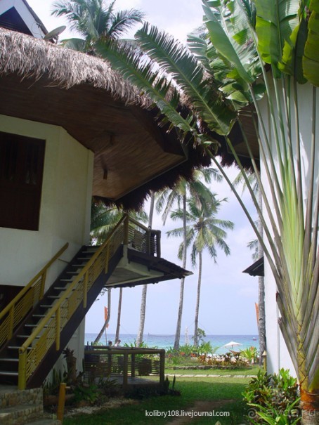 Зиплайн ("птички на проводах") и мангры-тур на Филиппинах.