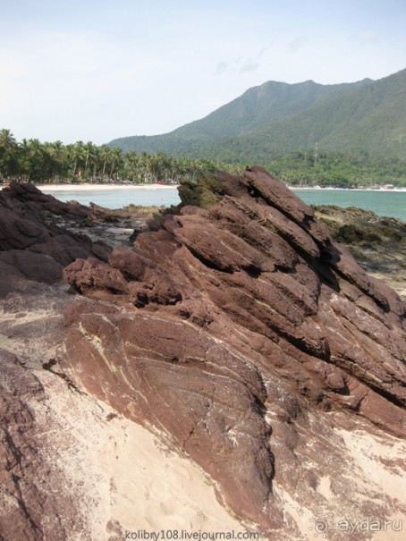 Зиплайн ("птички на проводах") и мангры-тур на Филиппинах.