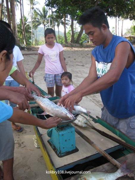 Зиплайн ("птички на проводах") и мангры-тур на Филиппинах.