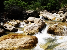 На поиски водопада (Абхазия).