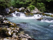 На поиски водопада (Абхазия).