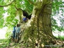 На поиски водопада (Абхазия).