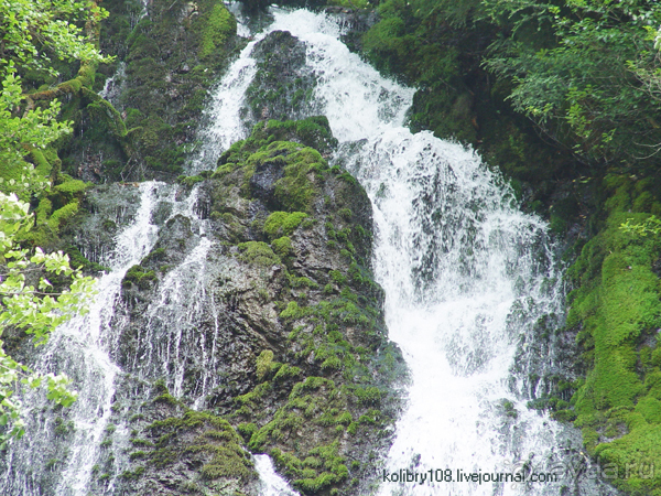 На поиски водопада (Абхазия).