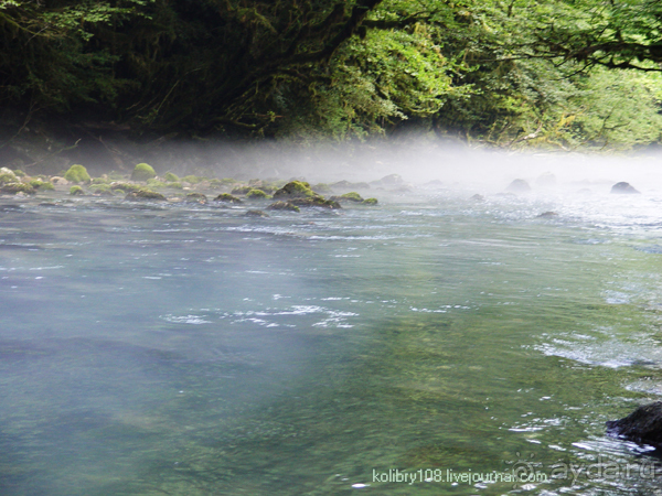 На поиски водопада (Абхазия).