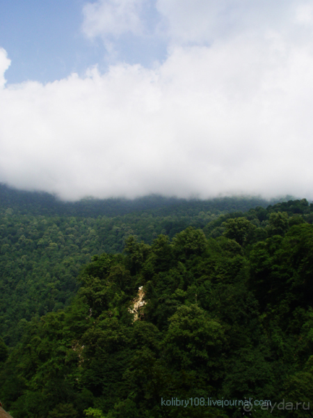 На поиски водопада (Абхазия).